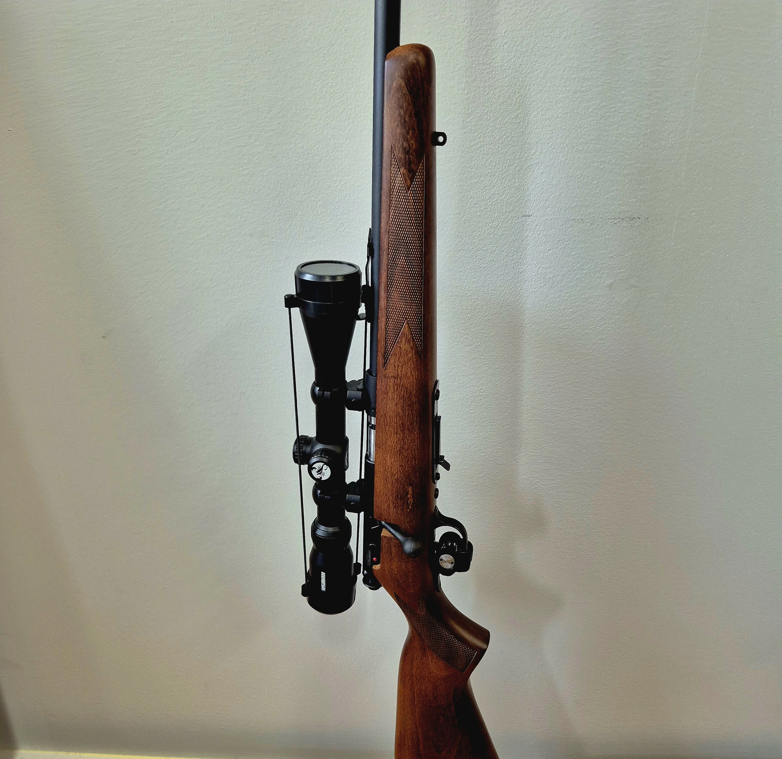 Savage 93 22WMR