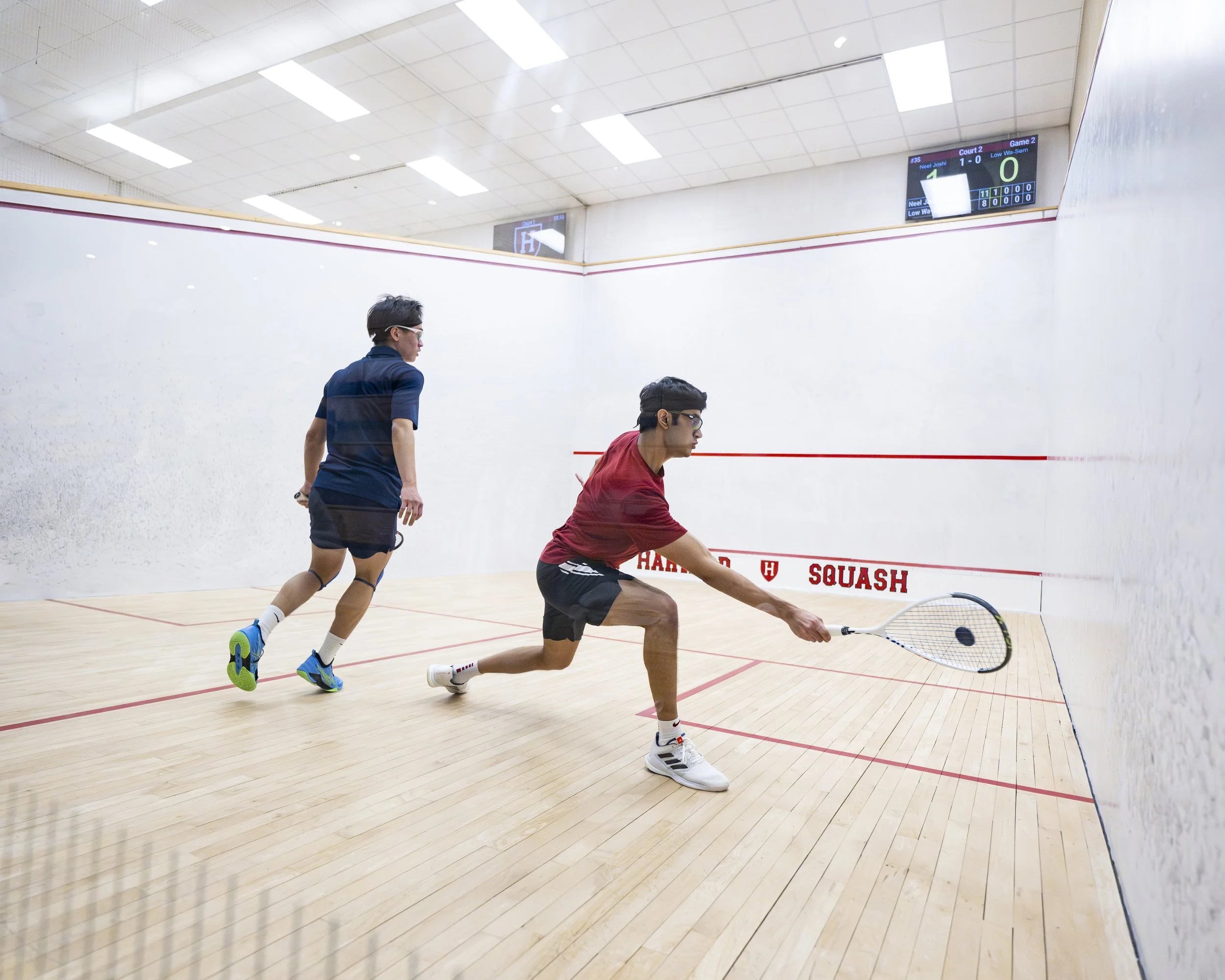 Havard_Squash_202430625-Enhanced-NR.jpeg
