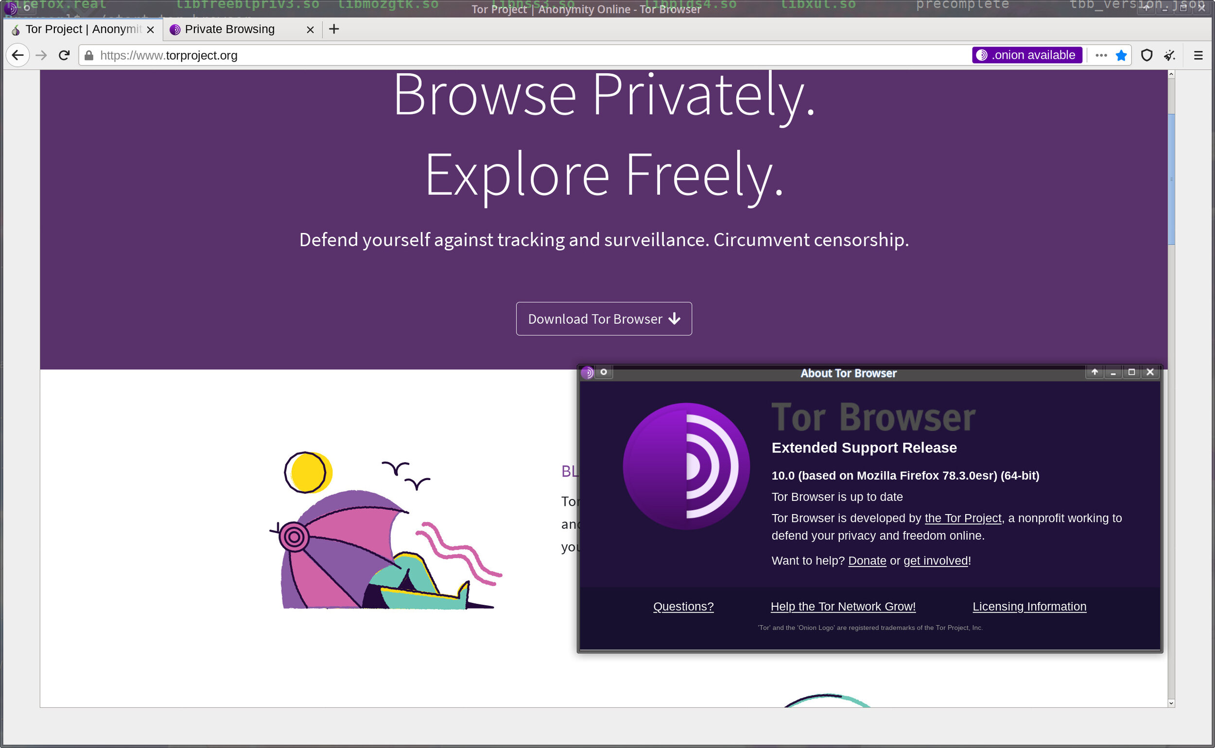 Tor browser не работает казахстан mega аналоги тор браузера на ios мега