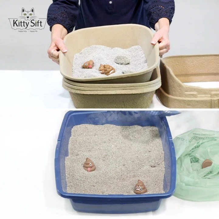 Can Your Cat Get Sick From a Dirty Litter Box? — Kitty Sift®