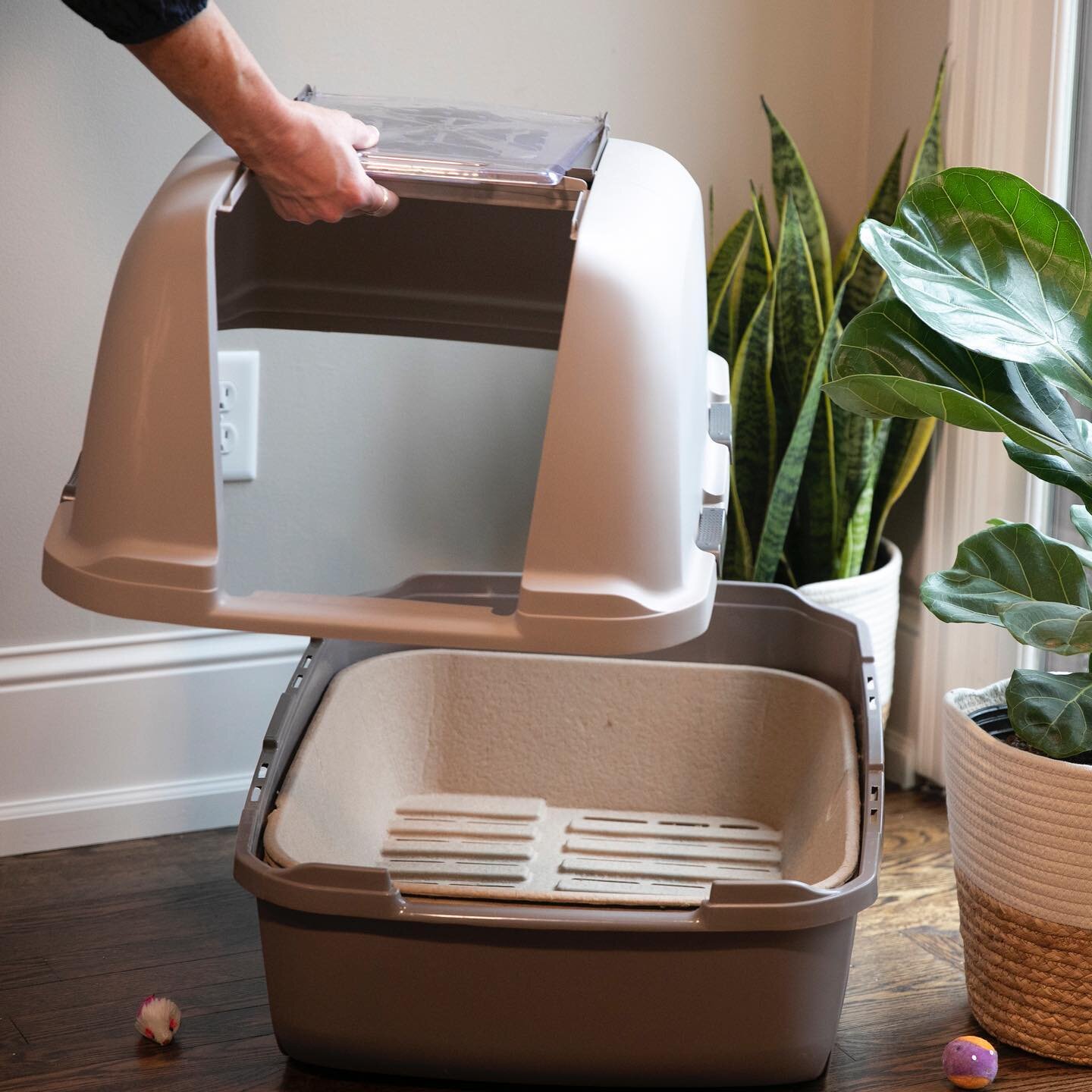 Did you know: Kitty Sift products are compatible with hooded litter boxes like @catitdesignproducts , @vannesspets and @modkat ? Simply remove the hood, lift, sift &amp; that&rsquo;s it! Shop via link in bio.

.
.
.
.
.
#kittysift #cathealth #litterb