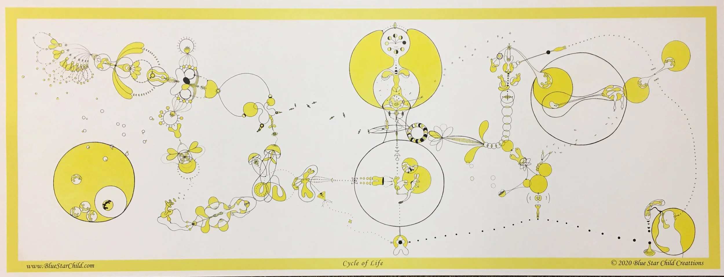 Cosmic Rabbit Star Map.jpg