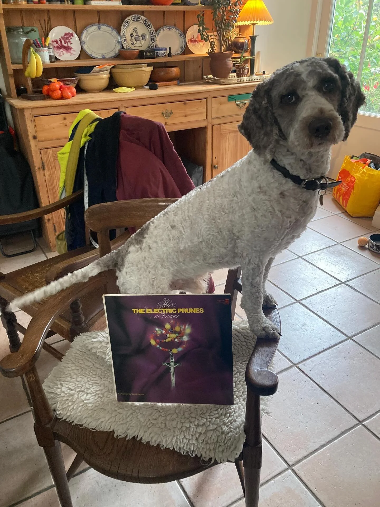 MEET THE TEAM: We really should try to flog more records via social media, but photos of sleeves are as boring as hell and never get very many likes. So, in this new series, members of the BLUES NIGHT crew are choosing their favourite Electric Prunes
