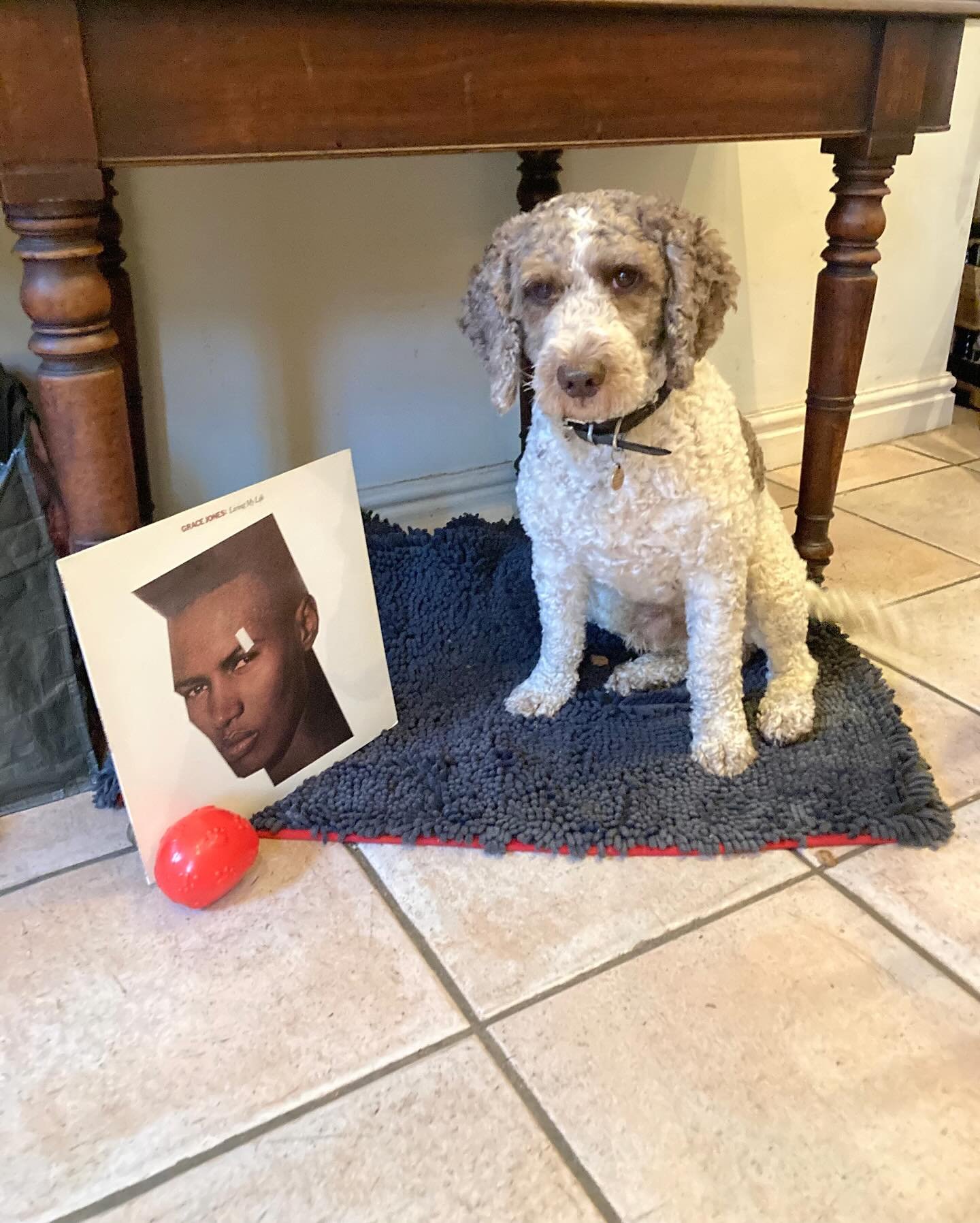 Today marks the commencement of the eighth year of BLUES NIGHT failing to flog perfectly good secondhand records to people who have a universe of other ephemeral crap to waste their meagre but probably little-deserved income upon. The last social med