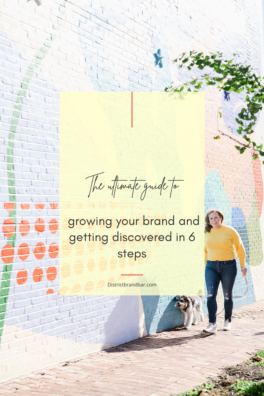 The 6 Paths to Getting Discovered and Growing Your Brand