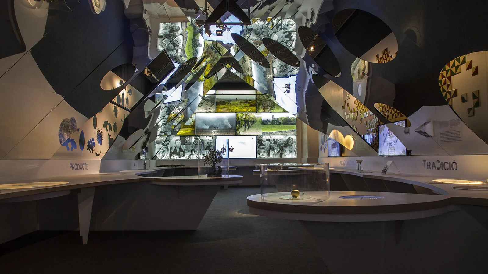 01_expo celler.jpg