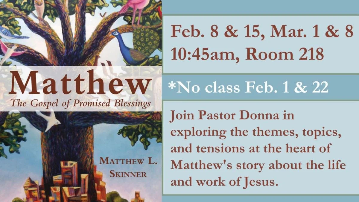 DH Gospel of Matthew.jpg