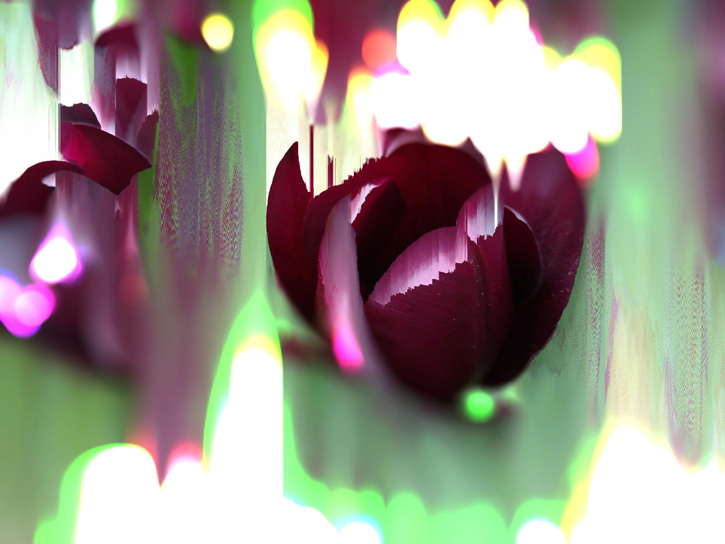  Distortion Rising | Glitch Art By Jon Anthony Thomson