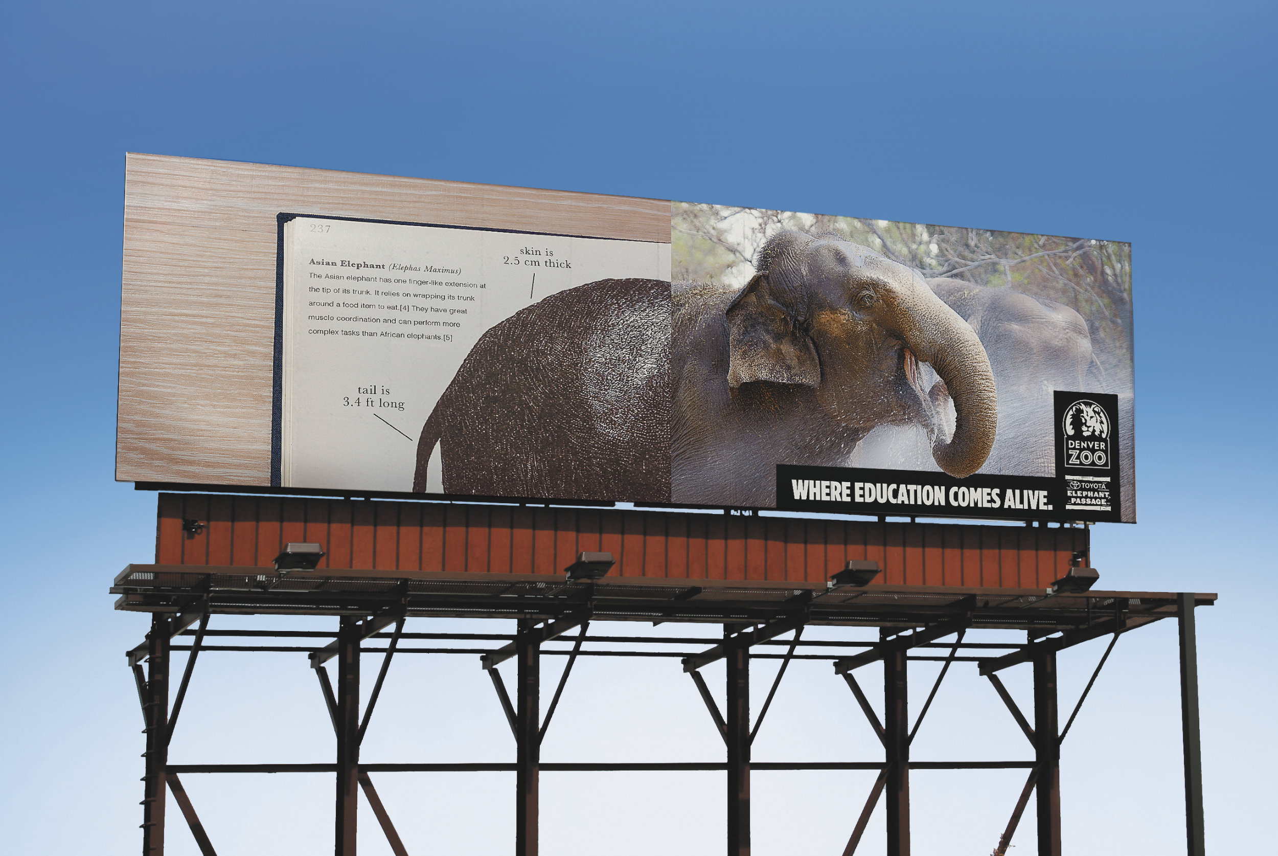 Screen-Shot-2018-02-05-at-12.30.30-AM (1).png