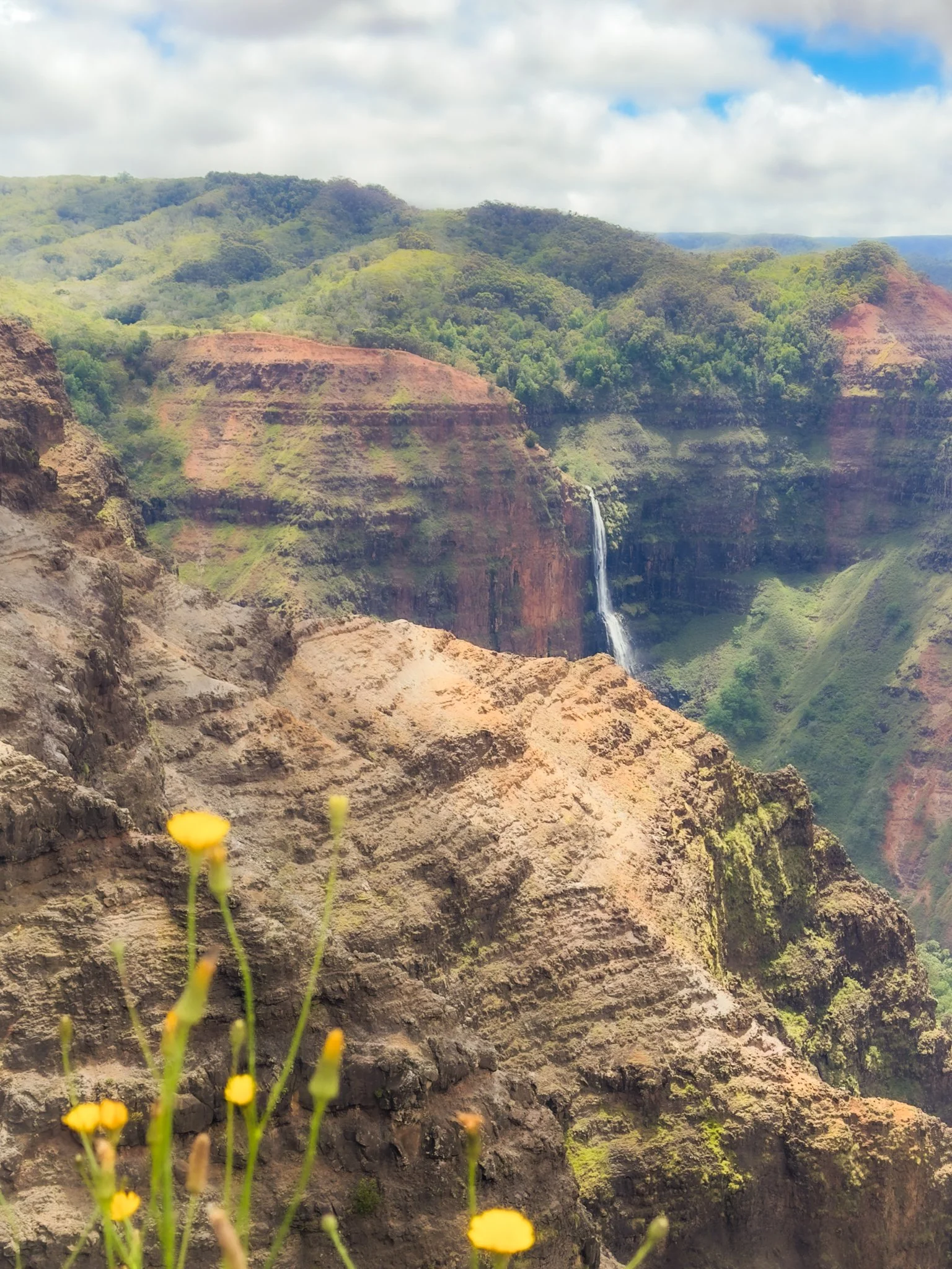 Kauai 2026 - 204.jpg