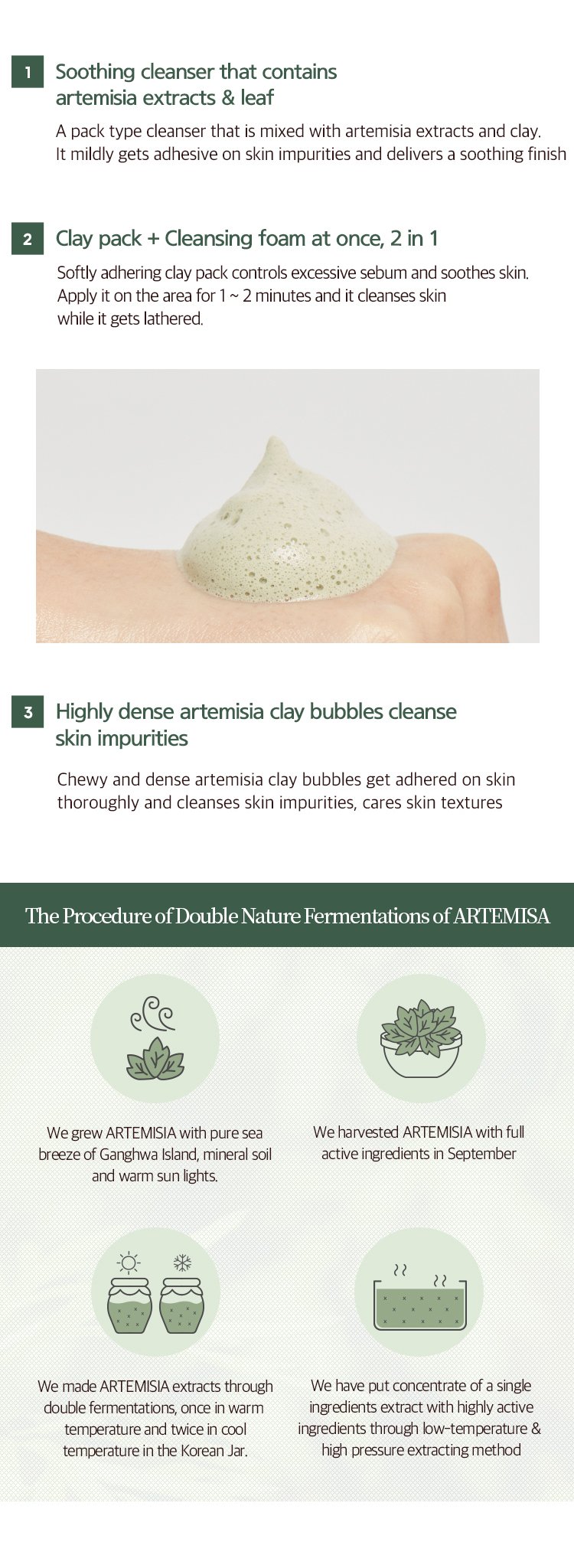 MISSHA_TIME_REVOLUTION_ARTEMISIA-PACK-FOAM-CLEANSER_01.jpg