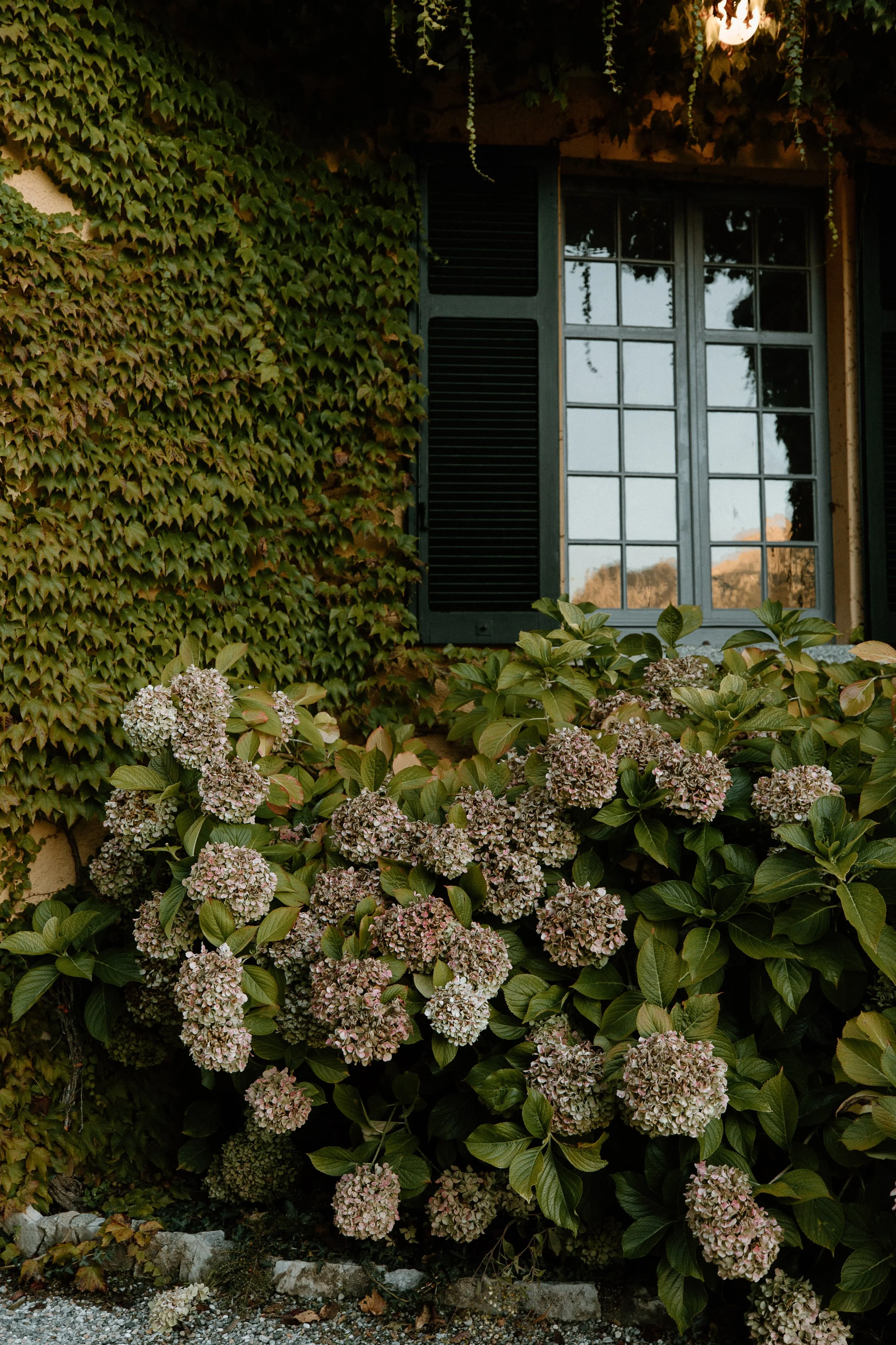 A Villa in Bloom