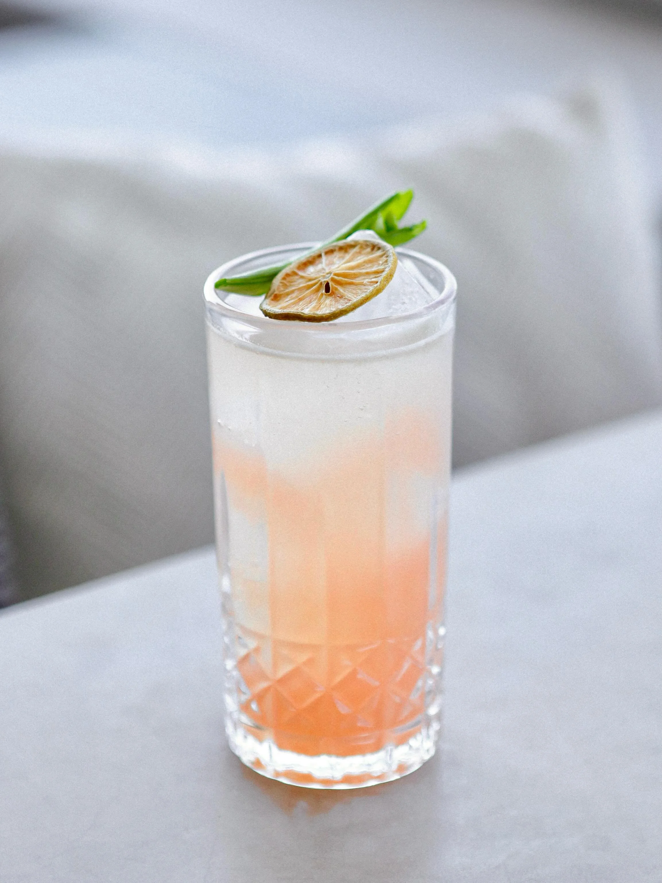 Tarten Garden (Mocktail) 🧡🫛🍋

Grapefruit, Sugar Snap Pea Simple, Lemon, Club.