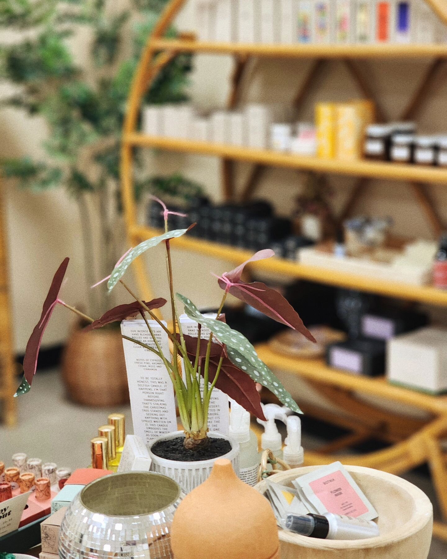 We love our holistic beauty haven 🤍

Dahlia's commitment to you:
✿ Holistic Care - We blend ancient wisdom with modern techniques for a truly balanced approach to beauty.
✿ Personalized Experience - You're unique, and your skin deserves treatments t