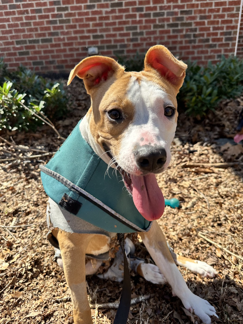 Screenshot 2026-03-06 at 2.38.00 PM.png