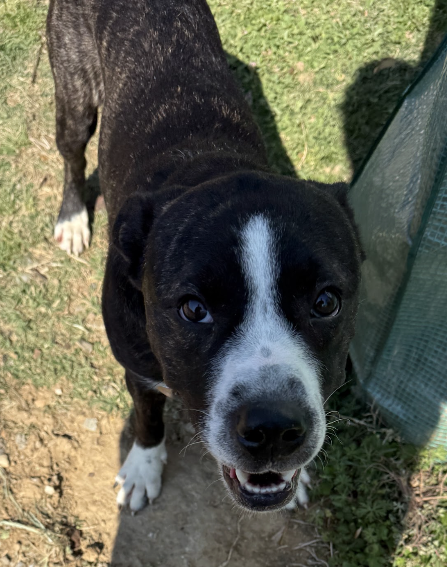 Screenshot 2026-04-07 at 5.02.05 PM.png