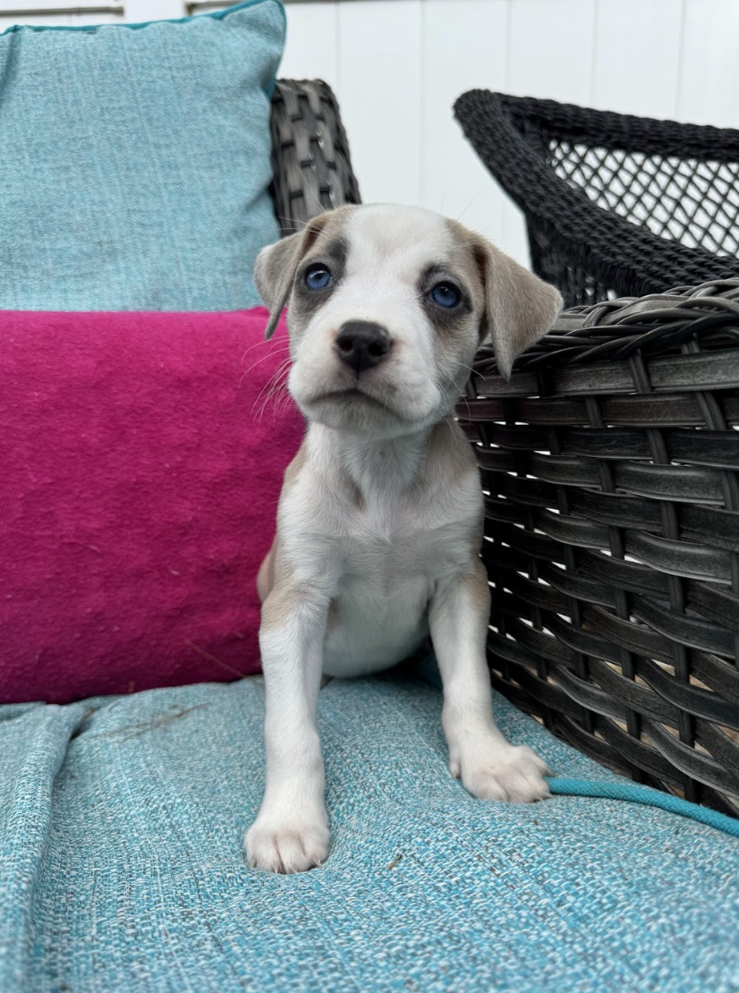 Screenshot 2026-04-23 at 2.23.04 PM.png