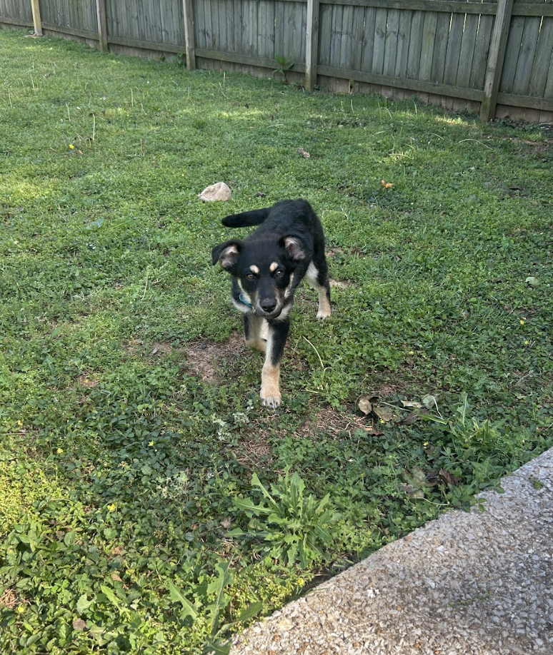 Screenshot 2026-04-23 at 2.58.35 PM.png