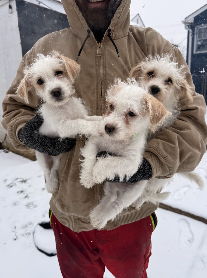 Screenshot 2026-01-24 at 7.42.56 PM.png