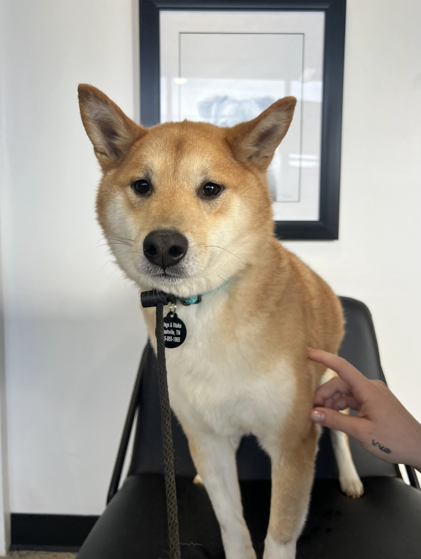 Screenshot 2026-03-21 at 2.02.44 PM.png