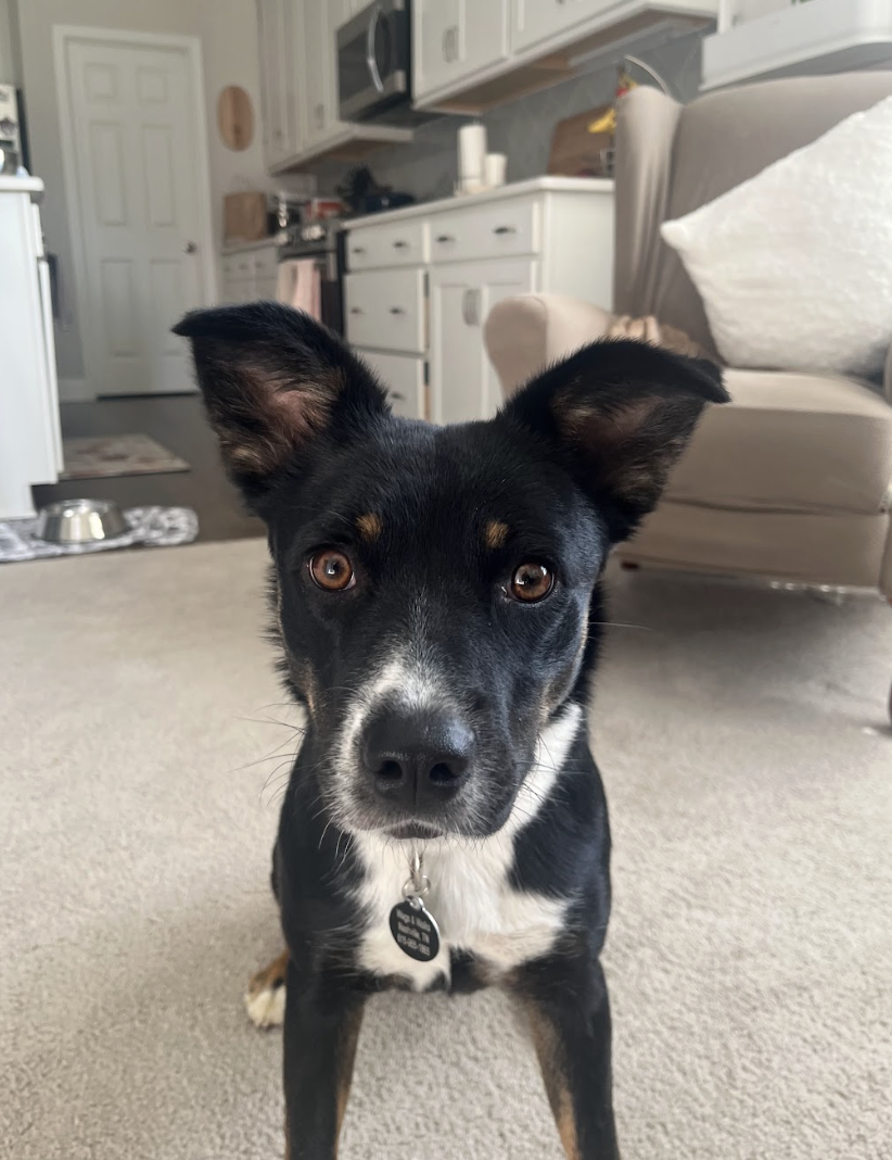 Screenshot 2026-04-22 at 4.49.38 PM.png