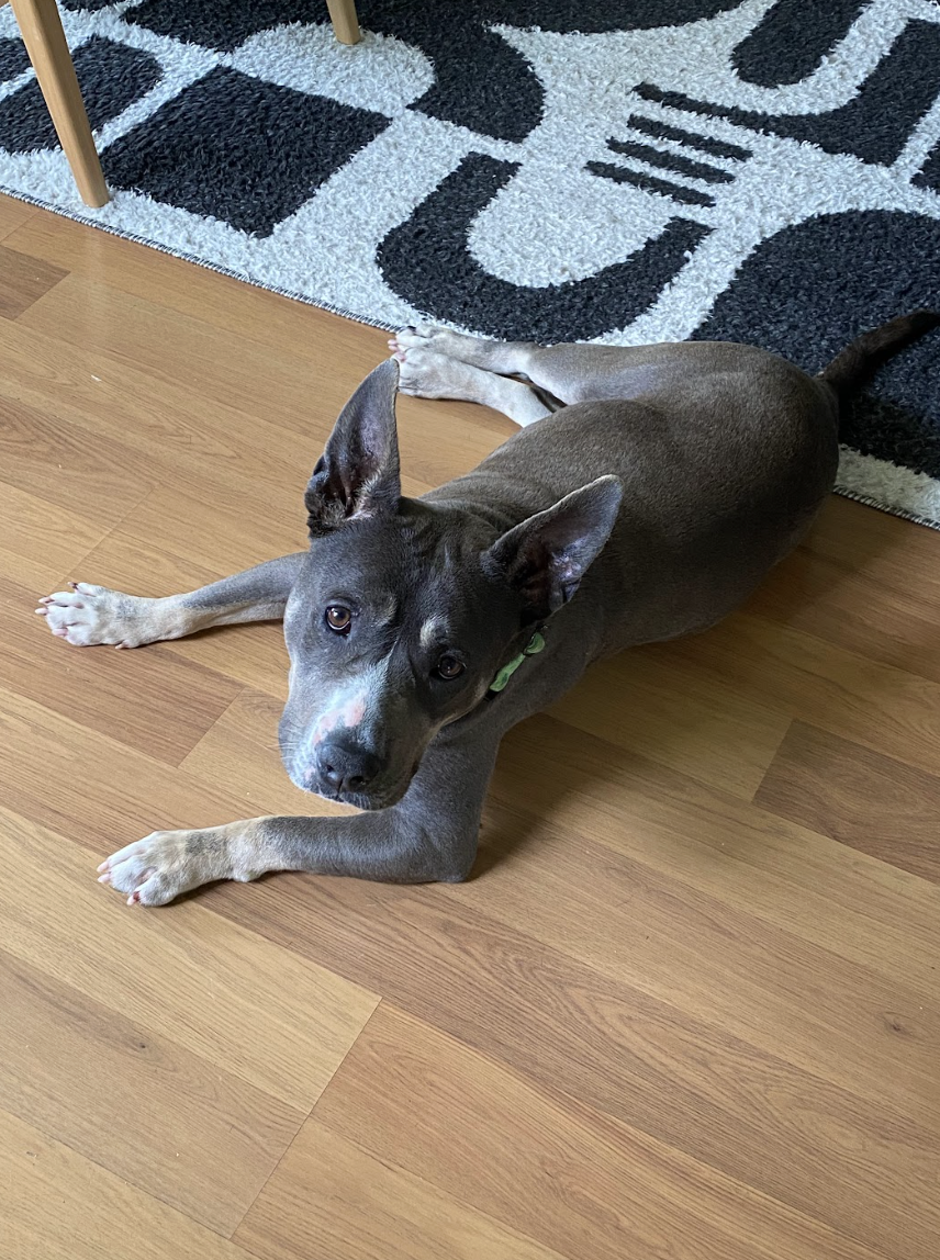 Screenshot 2026-04-14 at 3.09.45 PM.png