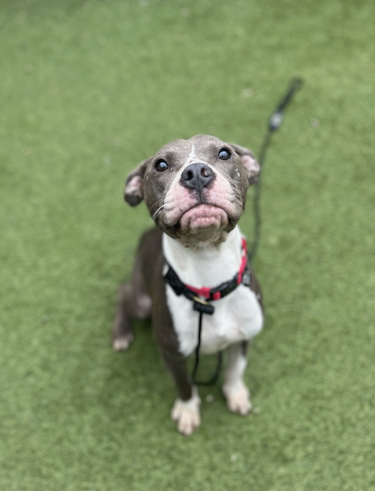 Screenshot 2026-03-11 at 6.51.16 PM.png