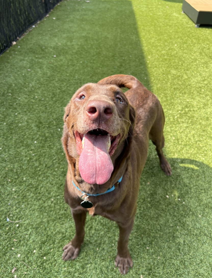 Screenshot 2026-03-26 at 2.36.07 PM.png