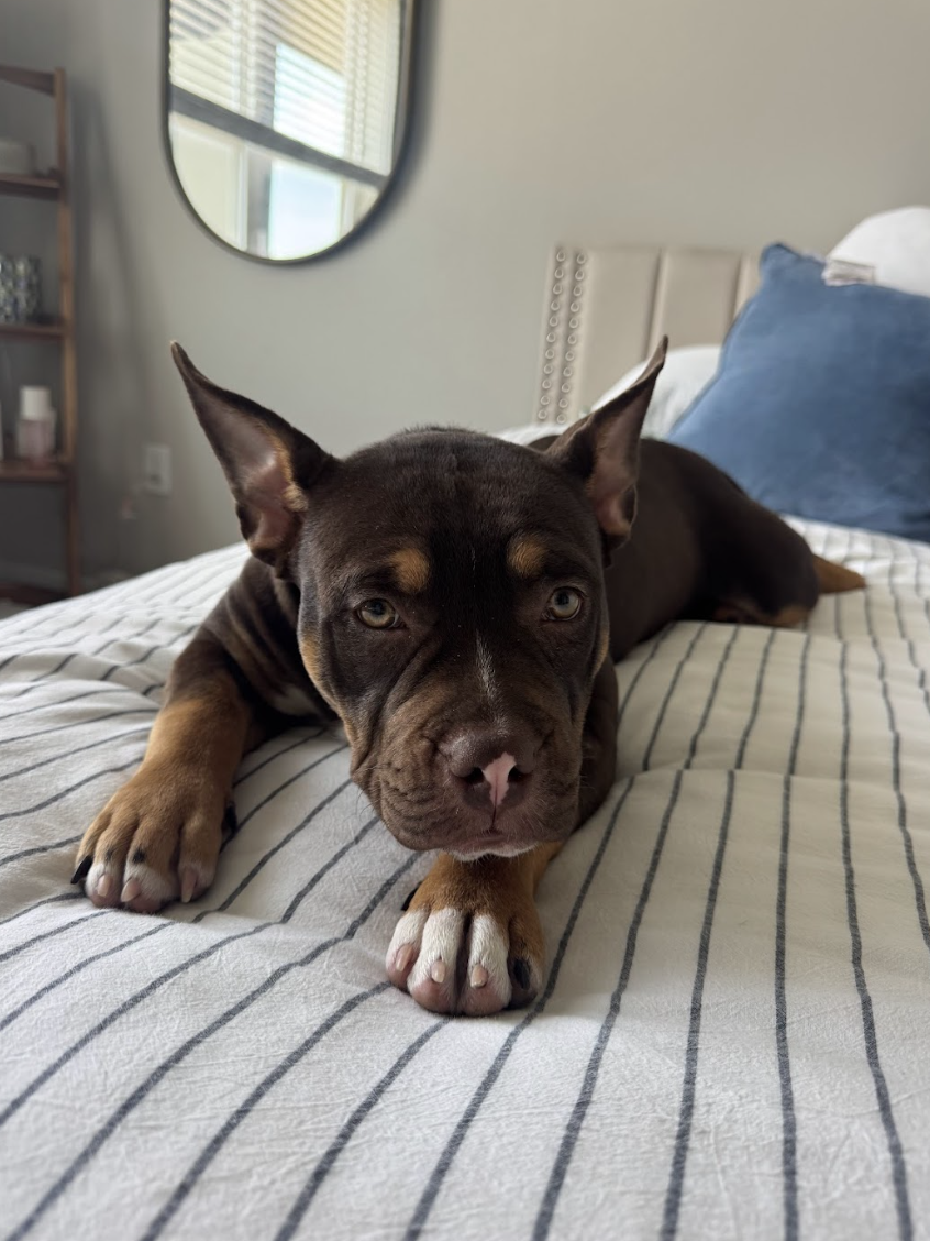 Screenshot 2026-03-24 at 12.17.52 PM.png