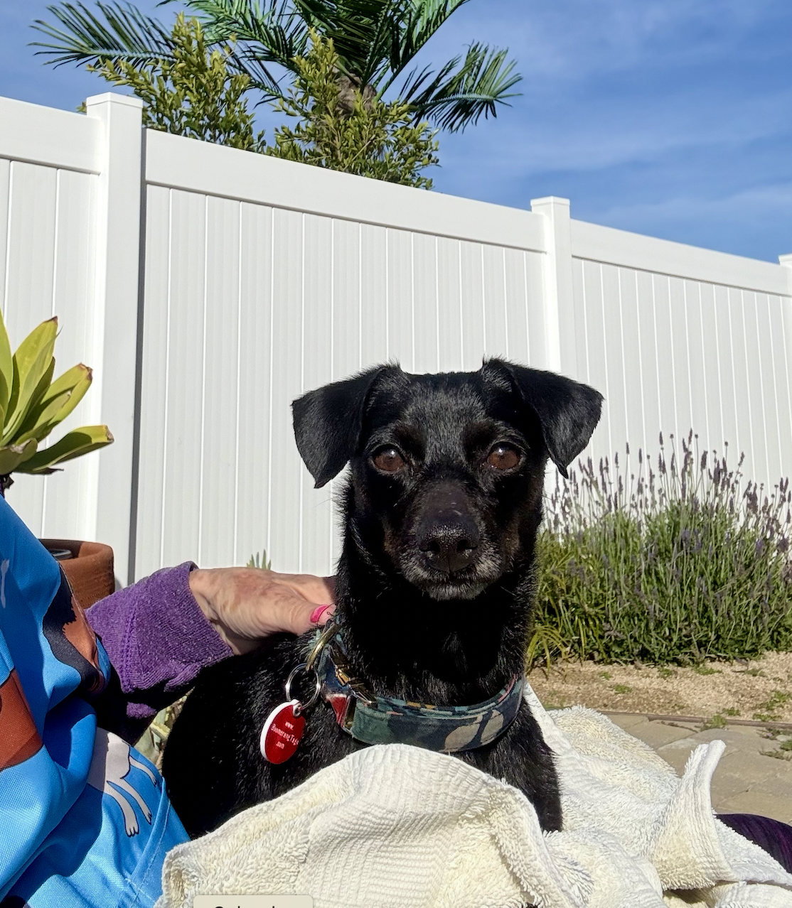 Screenshot 2026-03-18 at 2.44.04 PM.png