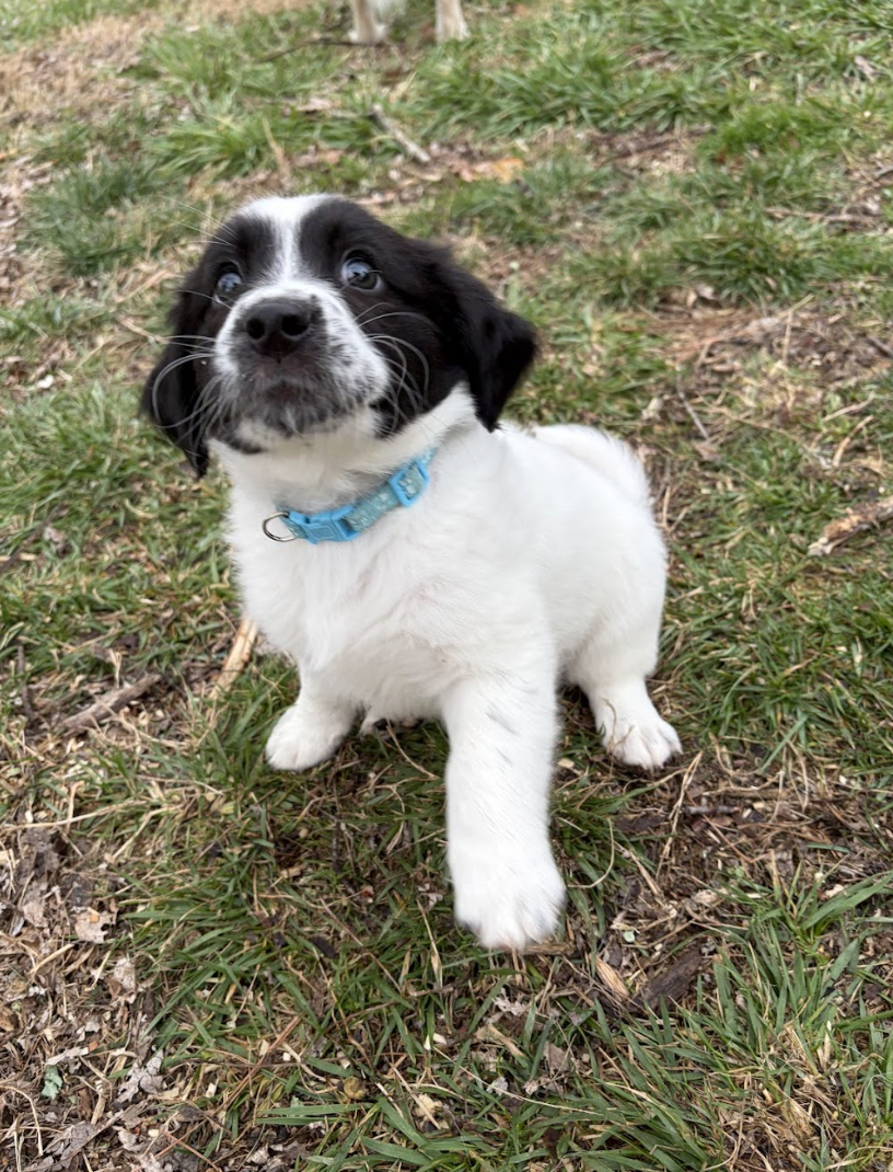 Screenshot 2026-03-10 at 8.51.26 PM.png