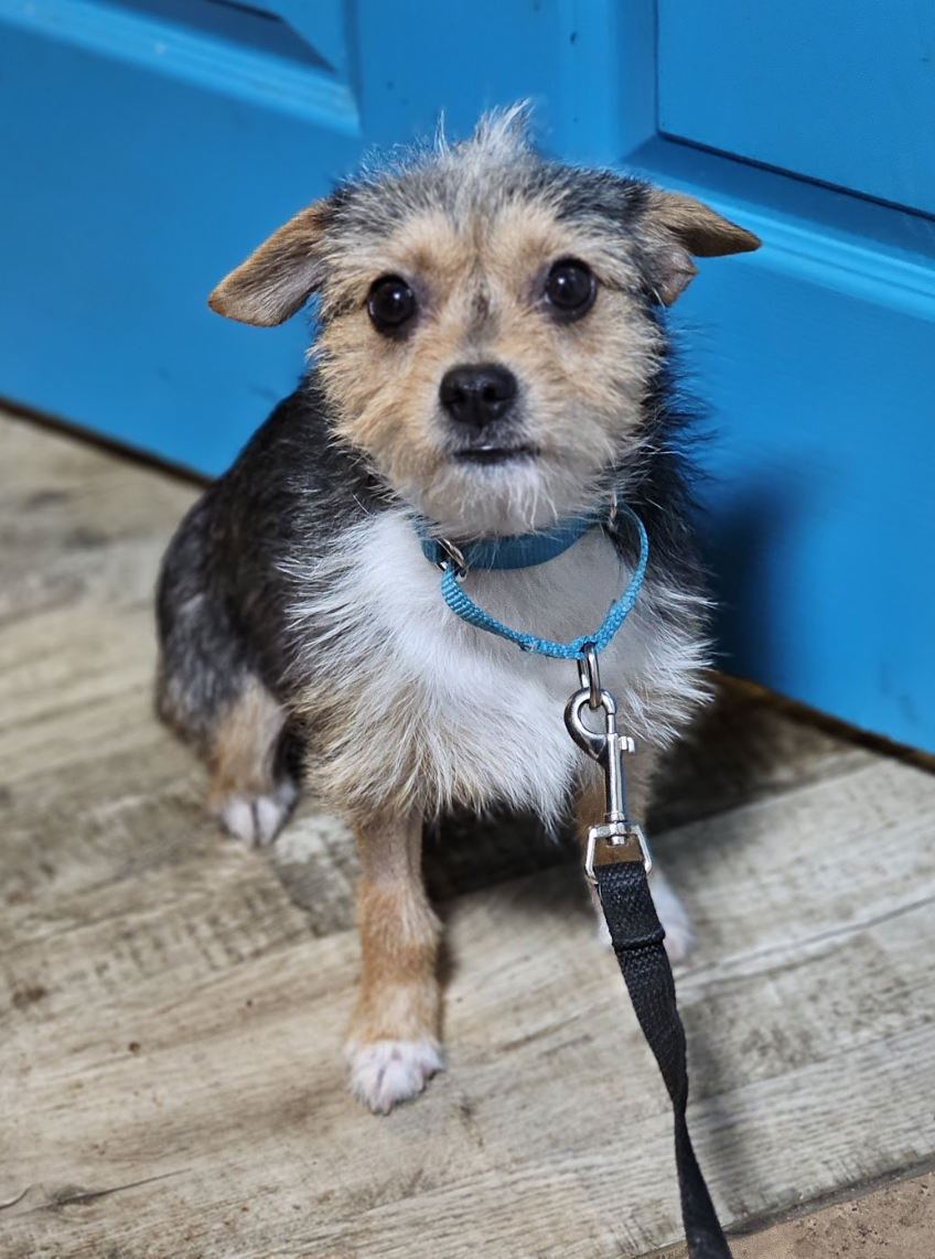 Screenshot 2026-01-06 at 1.35.06 PM.png