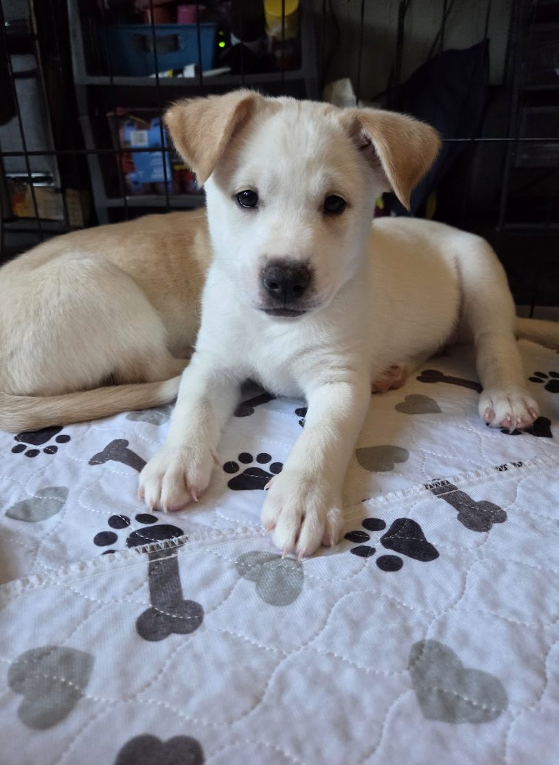 Screenshot 2026-01-14 at 6.32.39 PM.png