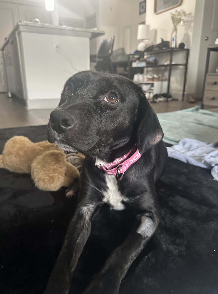 Screenshot 2026-02-27 at 1.42.32 PM.png