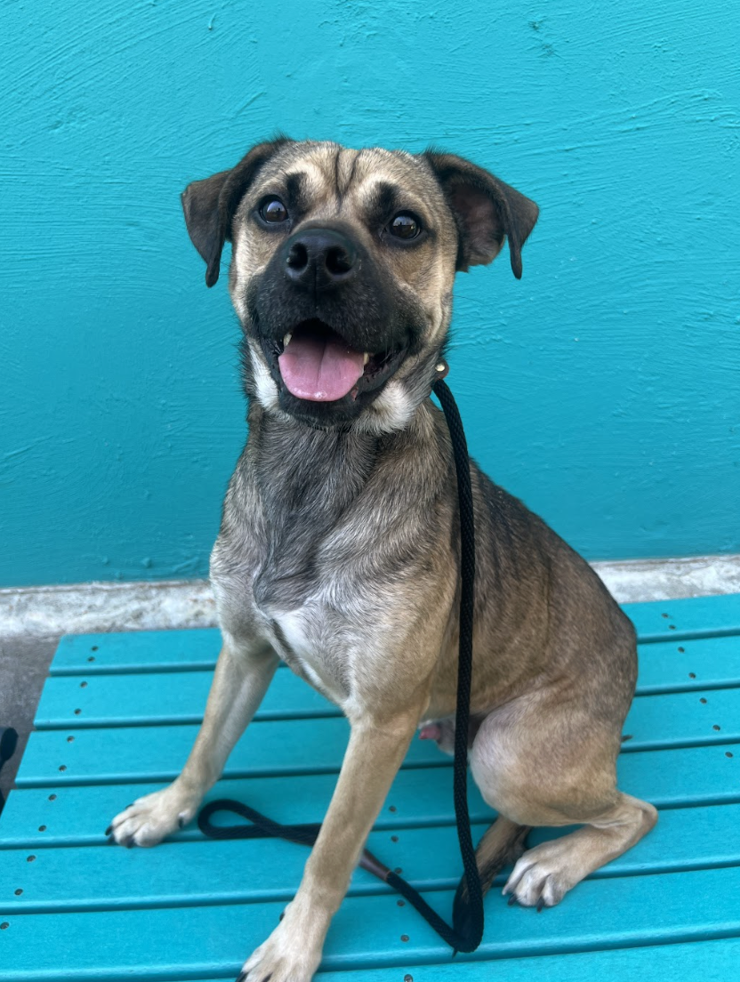 Screenshot 2026-03-20 at 2.24.35 PM.png