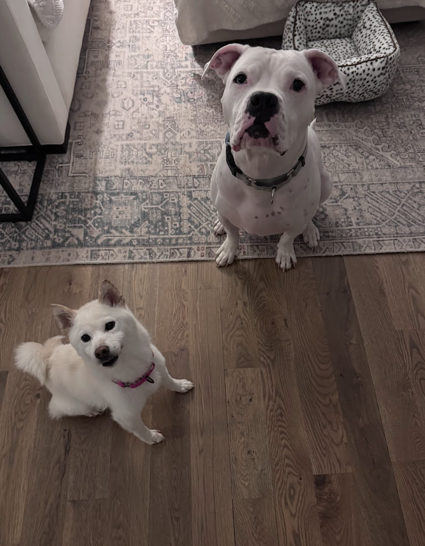 Screenshot 2026-03-21 at 2.08.12 PM.png