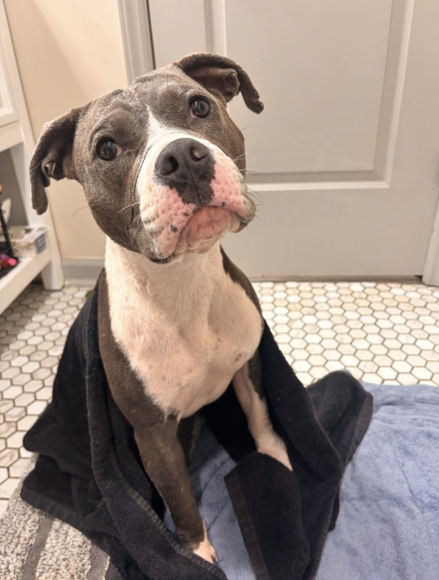 Screenshot 2026-04-20 at 1.20.18 PM.png