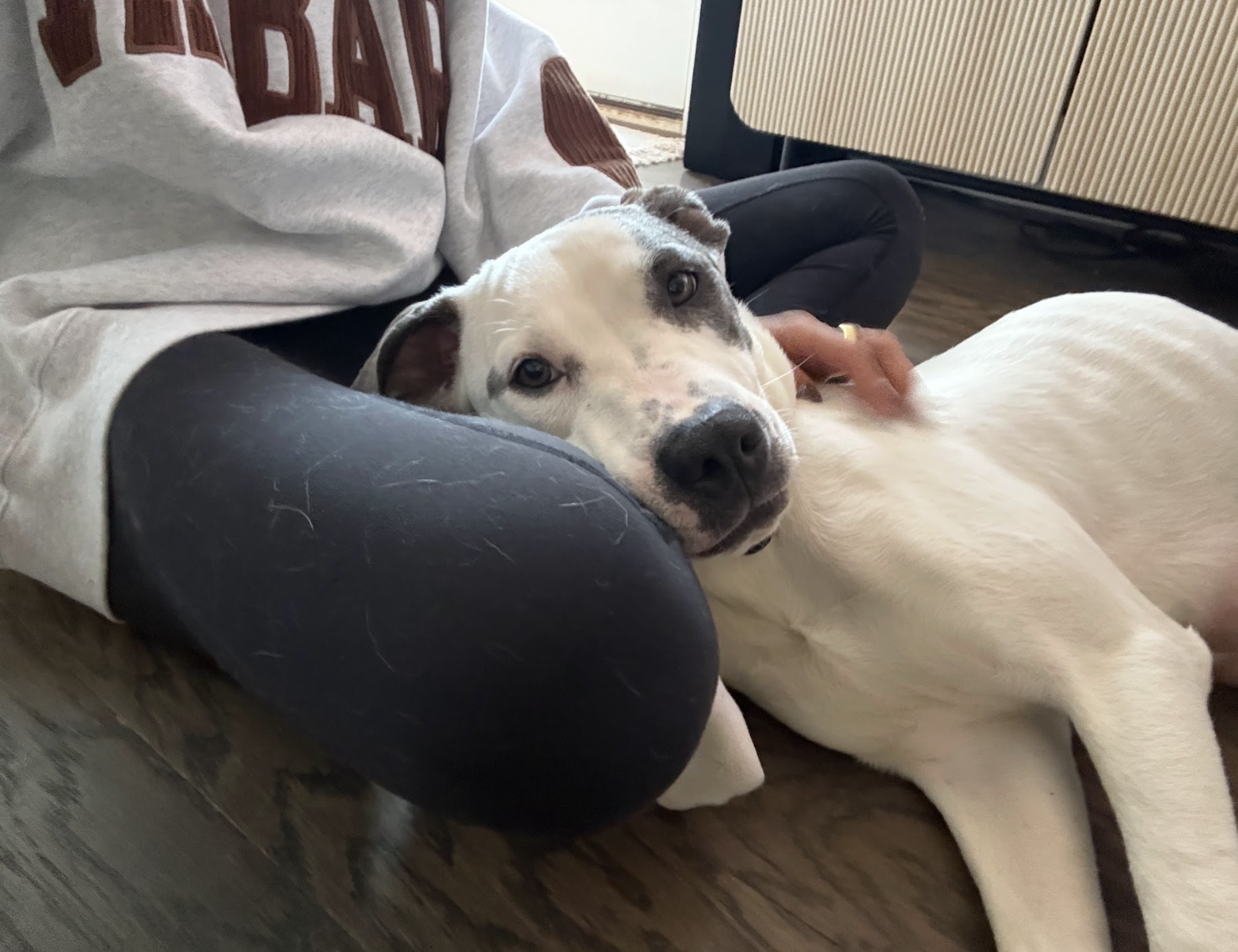 Screenshot 2026-04-14 at 6.20.48 PM.png