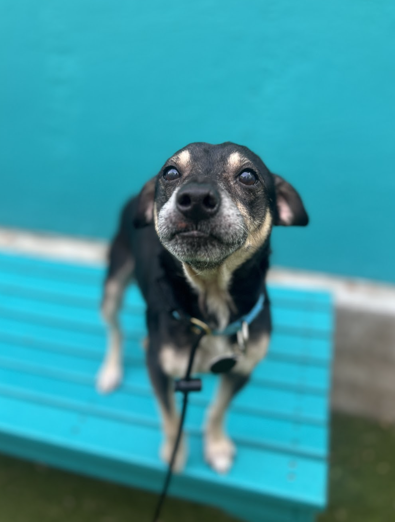 Screenshot 2026-04-21 at 1.42.28 PM.png