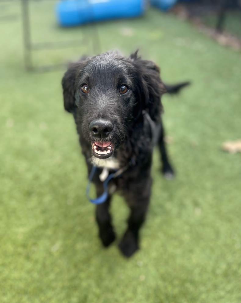 Screenshot 2026-01-15 at 2.58.59 PM.png