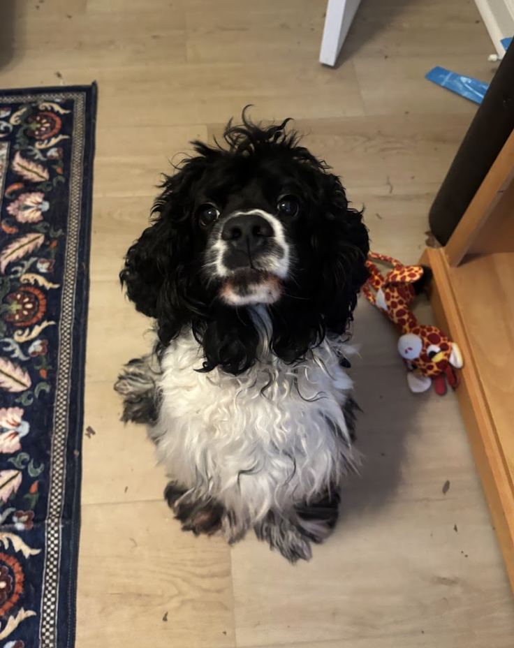 Screenshot 2026-01-24 at 7.51.59 PM.png