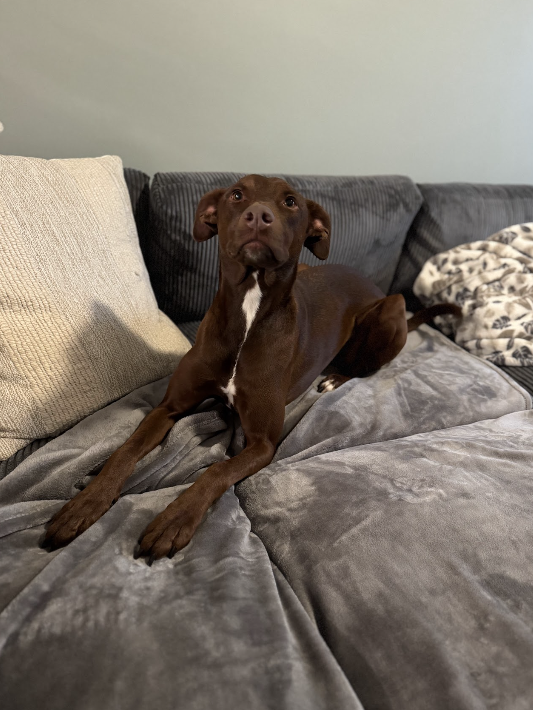 Screenshot 2025-12-09 at 12.12.48 PM.png