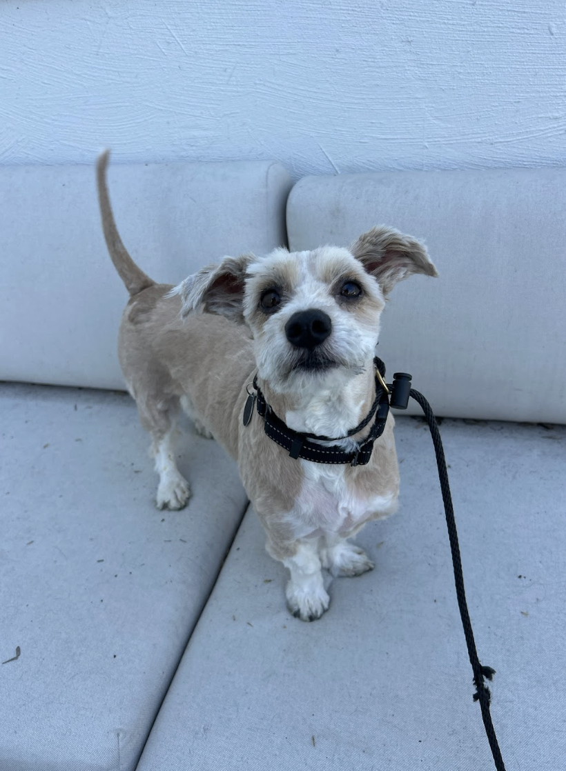 Screenshot 2026-03-14 at 6.31.36 PM.png