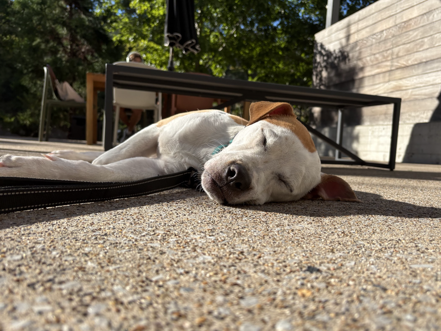 Screenshot 2025-10-16 at 5.00.43 PM.png