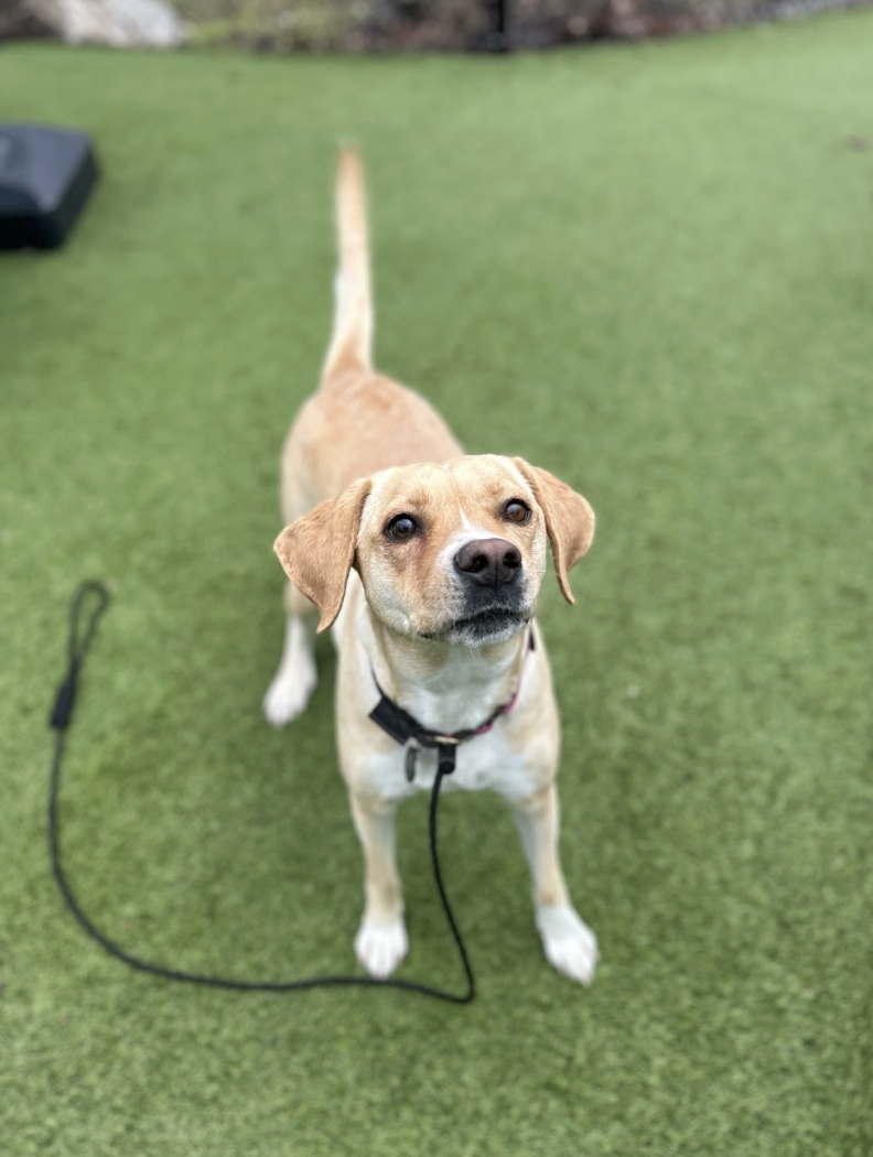 Screenshot 2026-02-05 at 2.22.30 PM.png