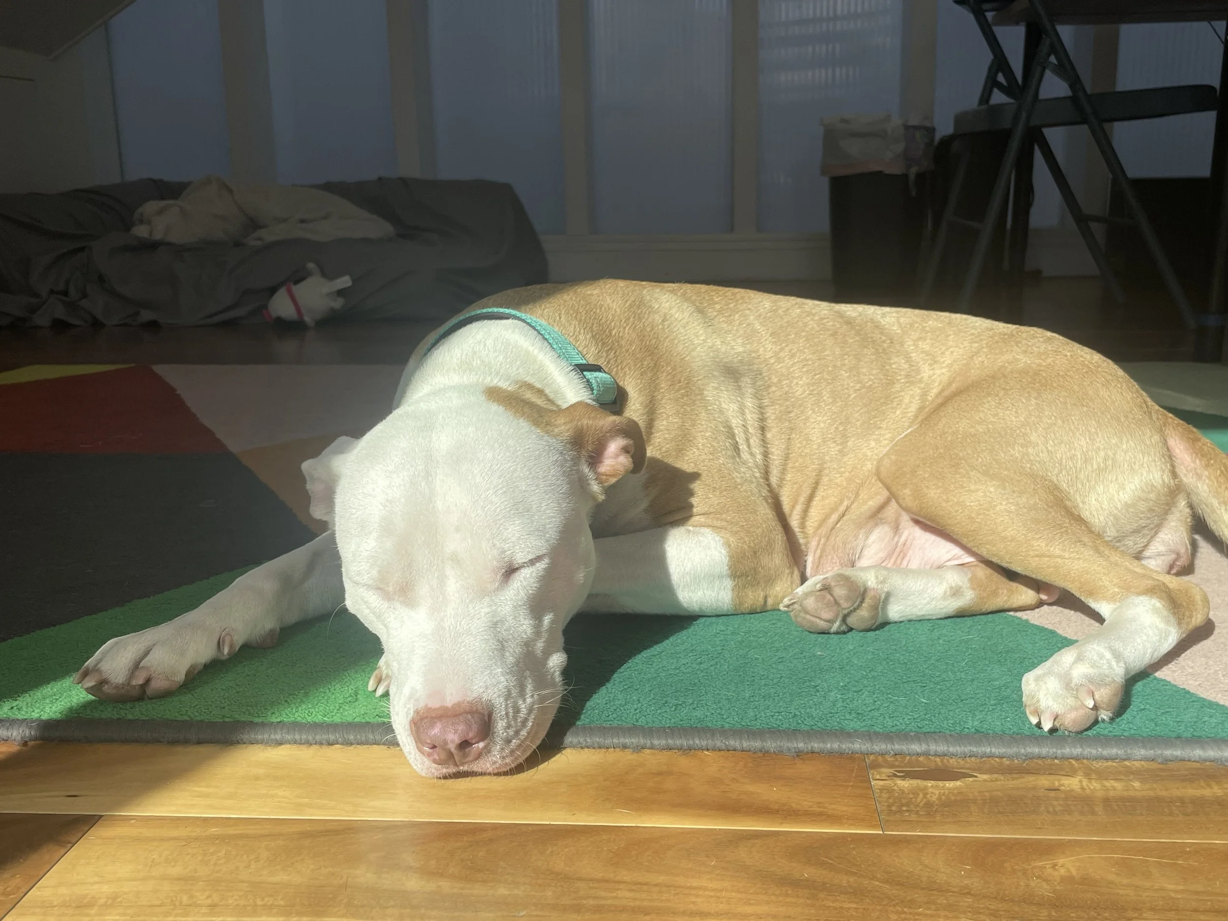 Photo Jan 15 2026, 1 37 50 PM.jpg