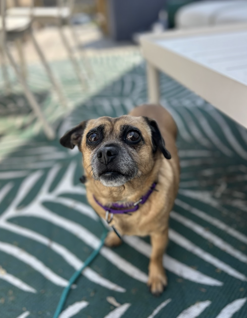 Screenshot 2026-03-20 at 2.32.31 PM.png