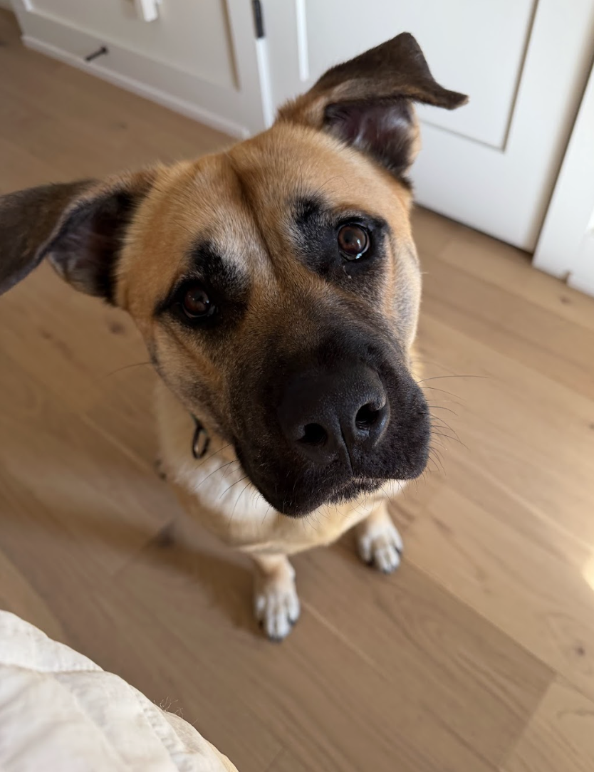 Screenshot 2026-04-22 at 3.13.27 PM.png