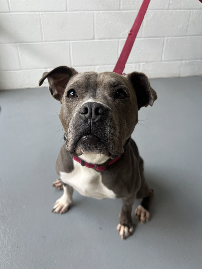 Screenshot 2026-04-22 at 5.47.43 PM.png