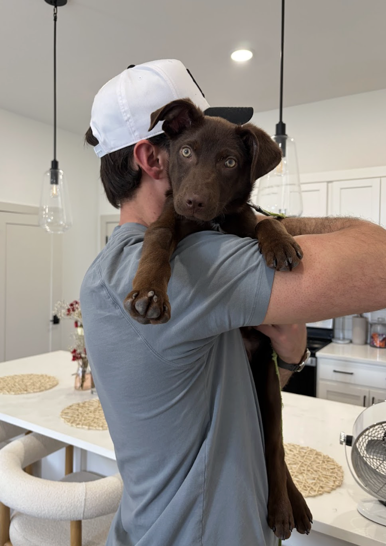 Screenshot 2026-04-03 at 1.33.55 PM.png